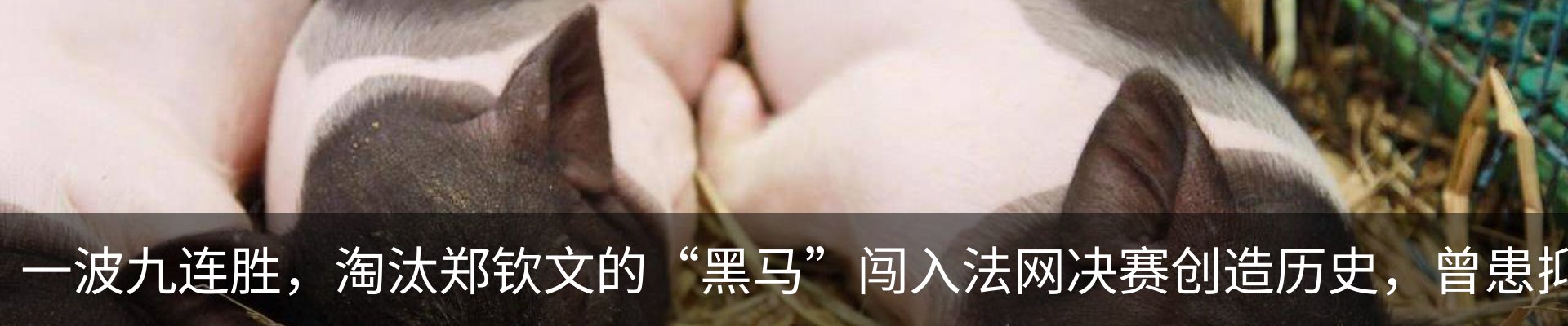 内页banner